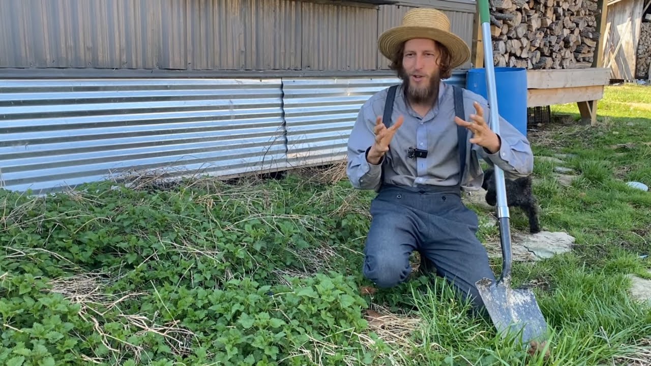 Propogating Stinging Nettle 🪴 | Titus Morris | Henson Creek School of Country Living | 04.2025