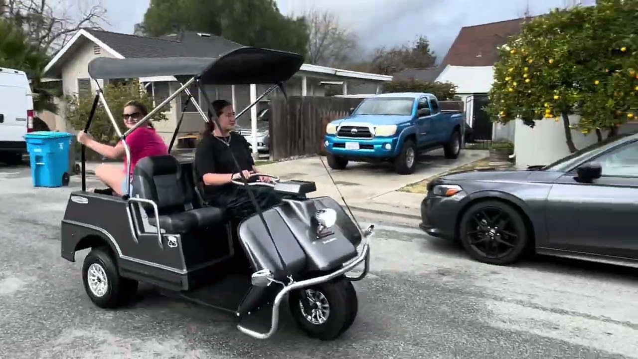 1975 Harley Davidson Custom Golf Cart