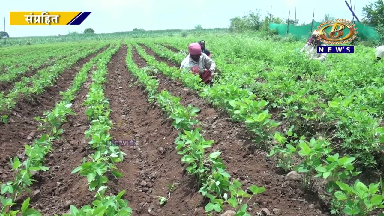 ३० जूनपूर्वी राज्य सरकार शेतकरी कर्जमाफीबाबत निर्णय घेईल