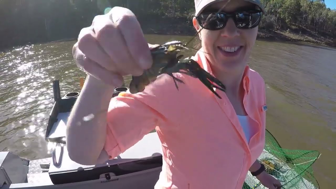 Somerset Dam Camping and Winter Redclaw July 2022