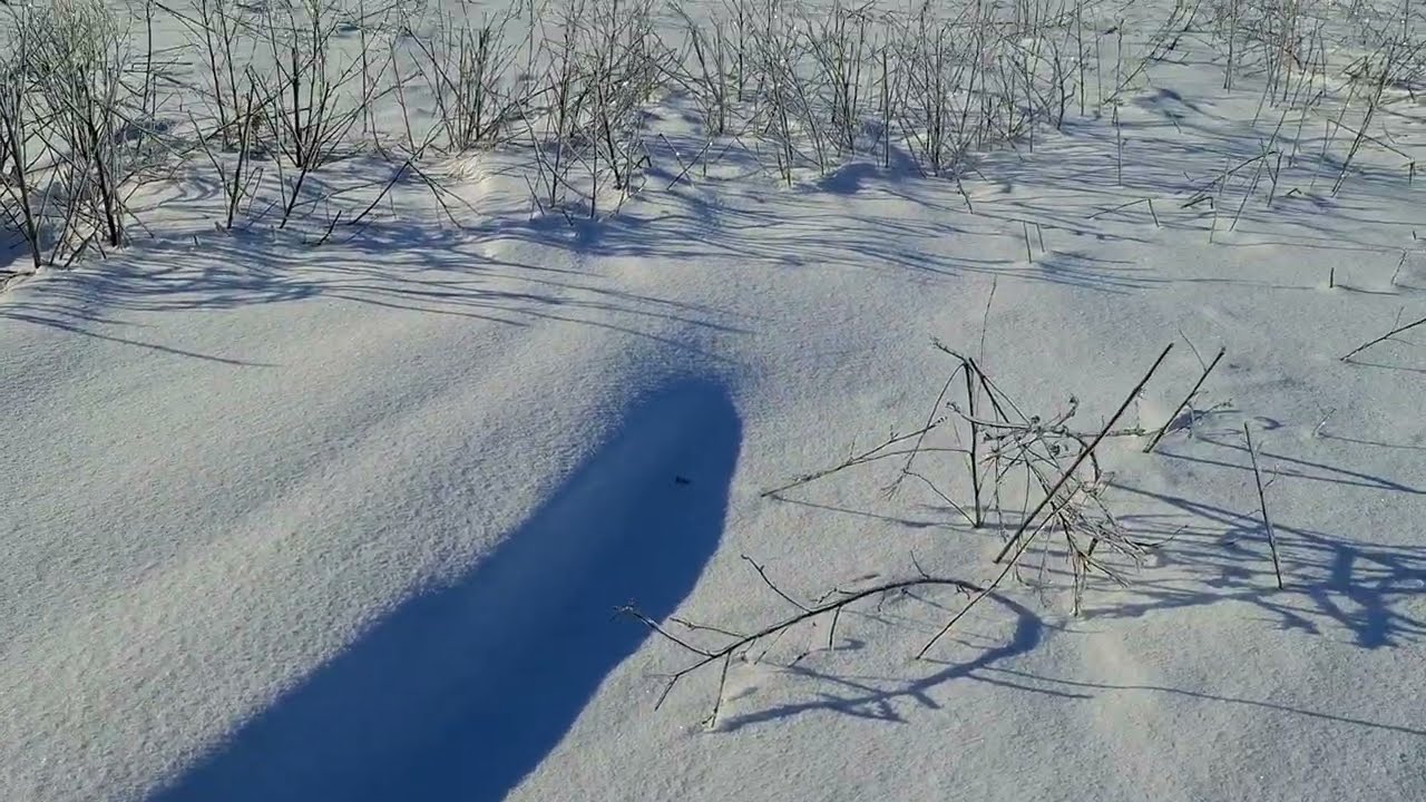 21.02.26 СНІГОЗАТРИМКА ПРАЦЮЄ