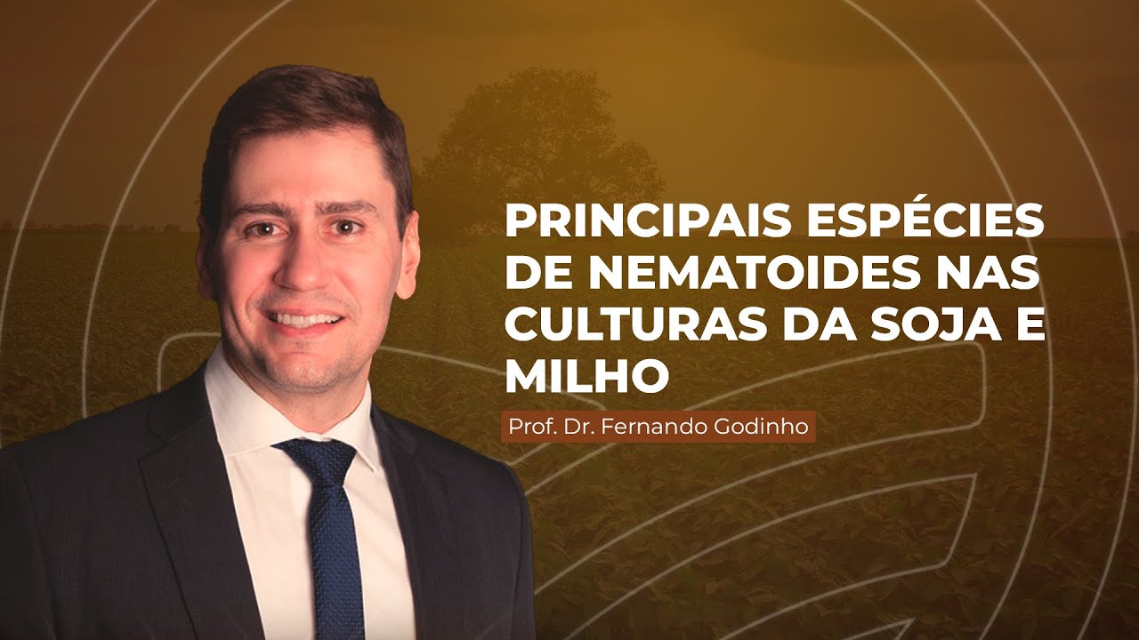 Nematoides em Soja e Milho: Identificando as Principais Espécies