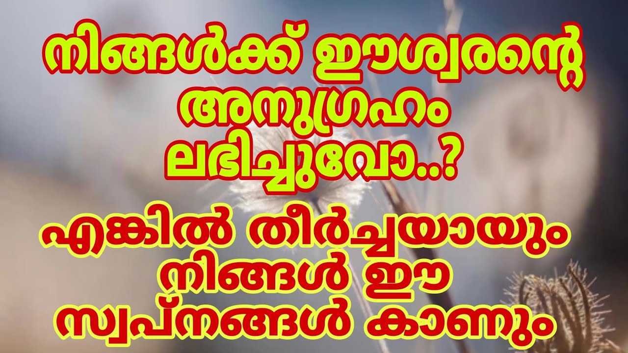 ഈ സ്വപ്നം കണ്ടാൽ ധനലാഭം ഫലം