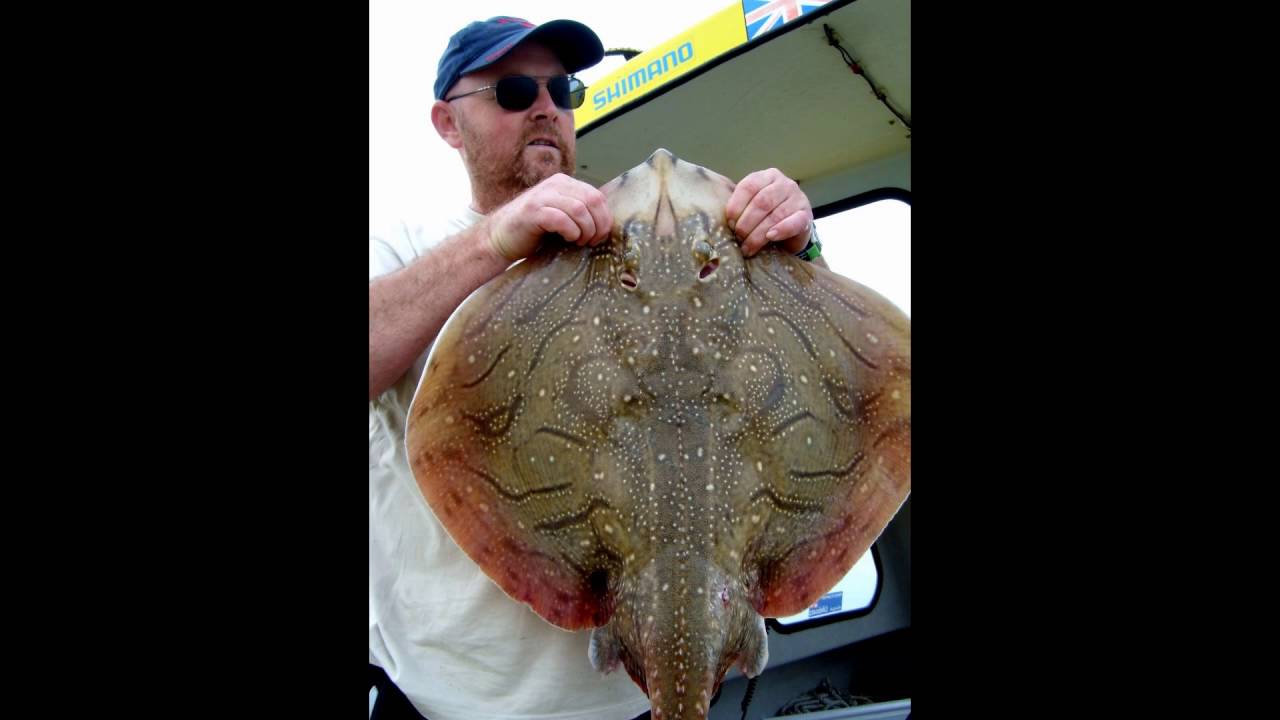 Ep  20 Wayne Comben, Fishing The Langstone Area