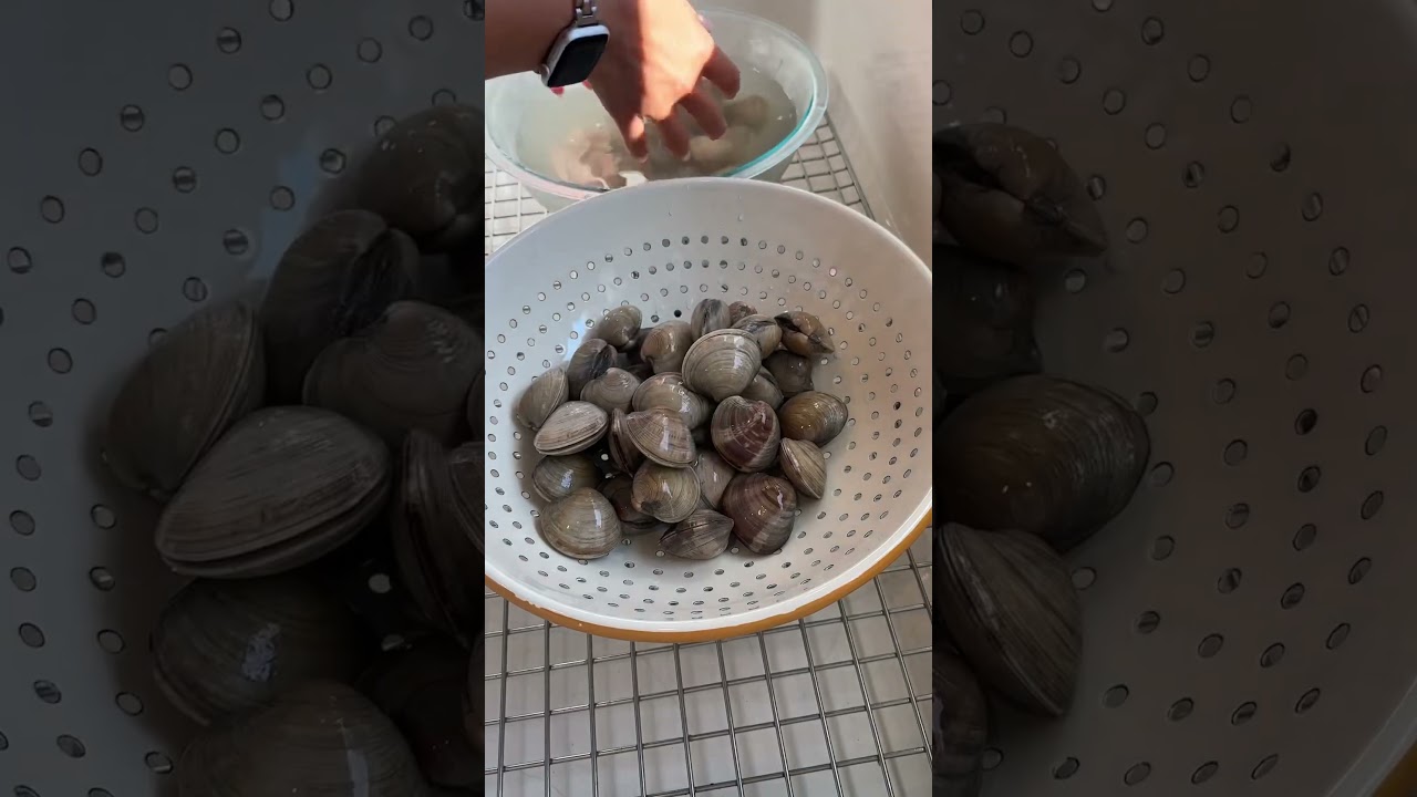 How to easily clean your clams out of any sand or grit!