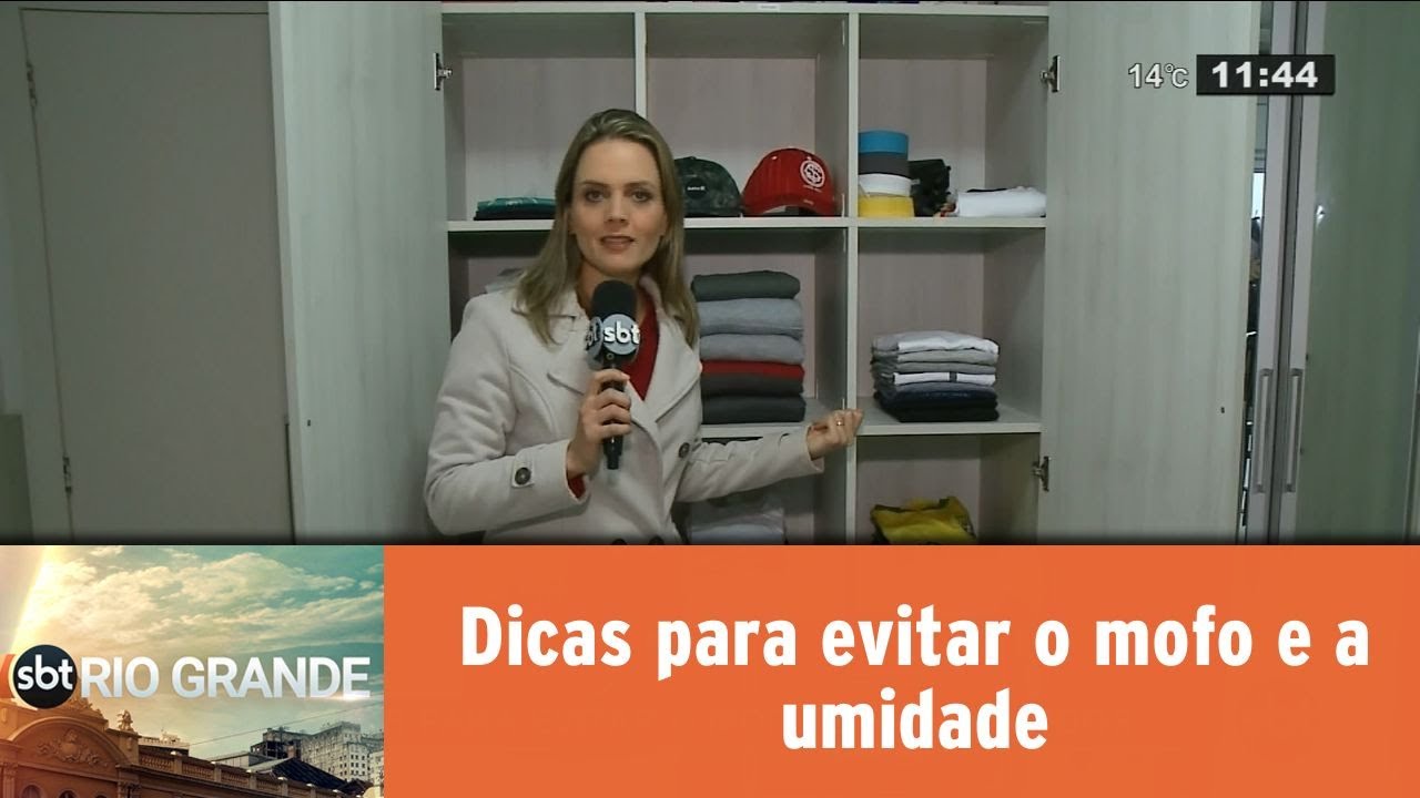 Dicas para evitar o mofo e a umidade