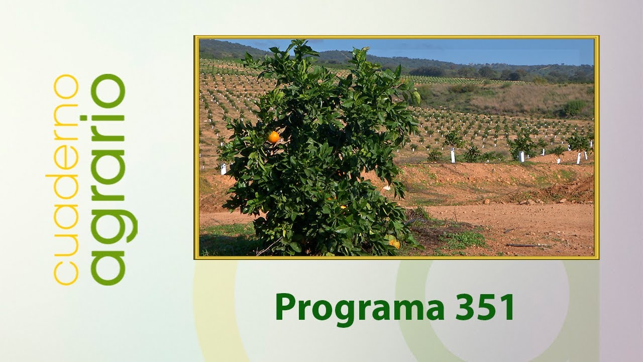 Cuaderno Agrario PGM 351