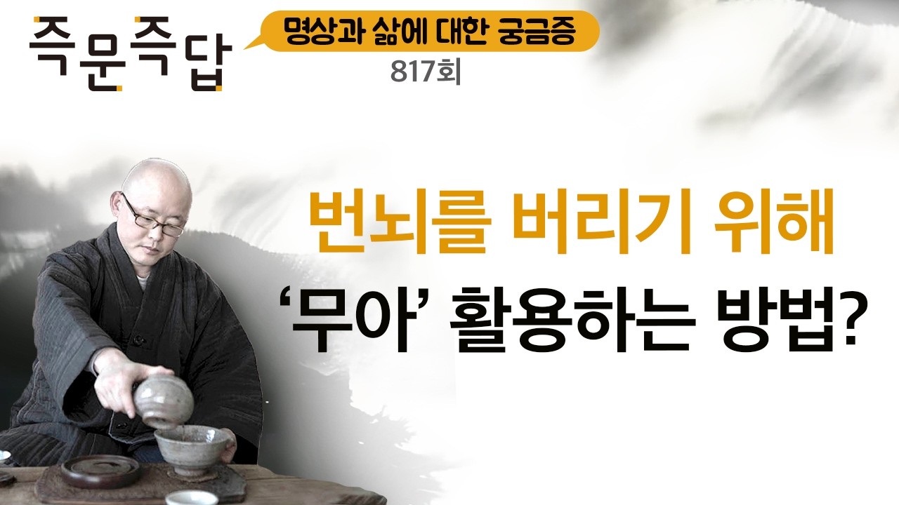 무아의 인식을 통해서 번뇌와 탐진치가 사라진다 l 명상 즉문즉답 817회 ㅣ혜안스님