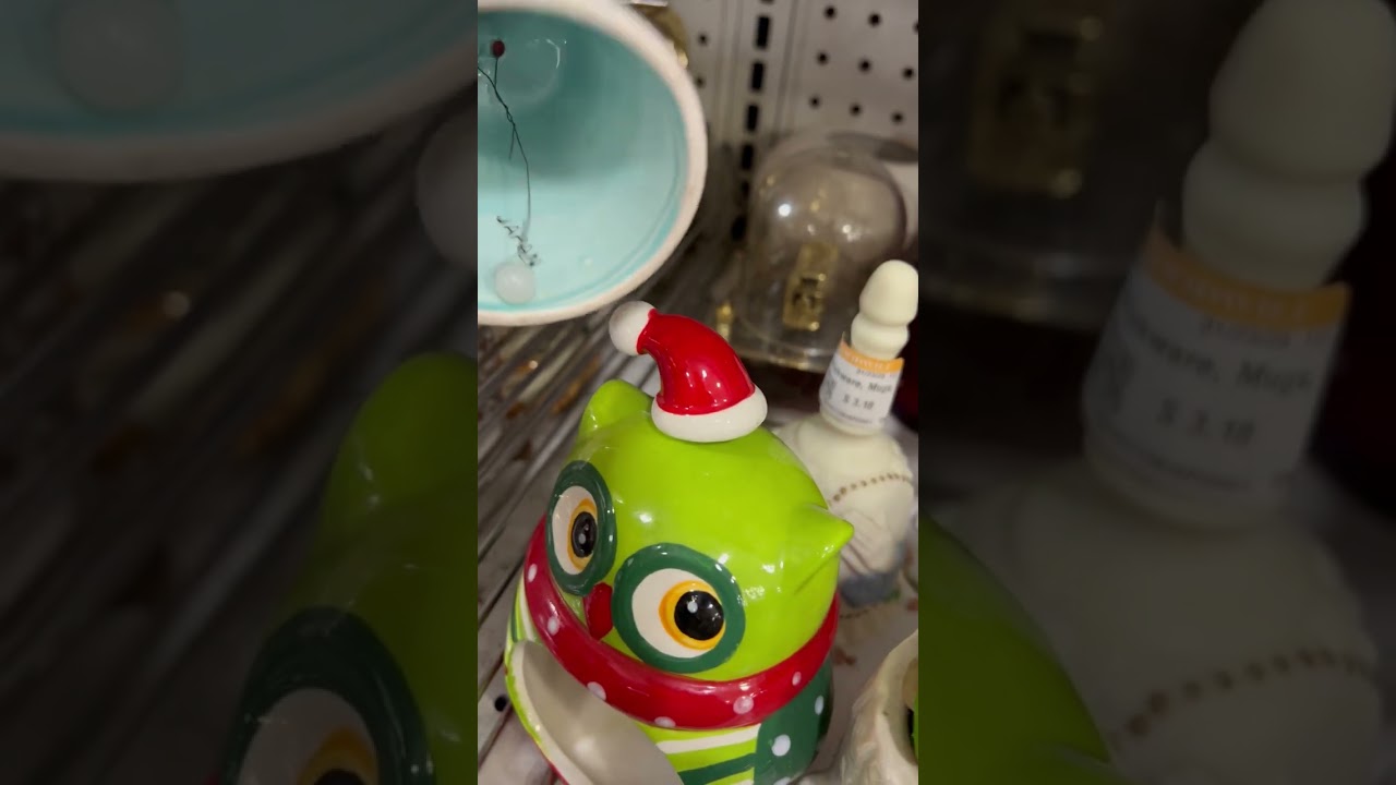 Thrift with us lets go treasure hunting at Goodwill in Ocala Florida 🌴🦩