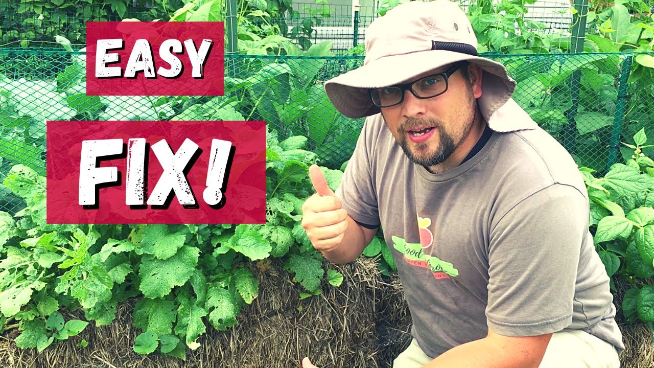 Poor Native Soil? Two Easy Solutions | Hay Bale Garden Tour | Guten Yardening