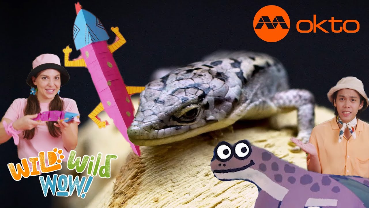 Why LIZARDS NEED THE SUN on them! 🦎 | Wild Wild Wow S2E02C | @mediacorpokto