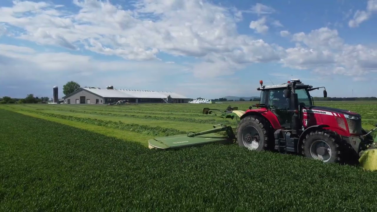 Fauche triticale 2025