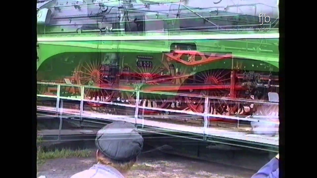 Bw-Fest Halle (Saale) 1996 mit über 16 betriebsfähigen Dampfloks