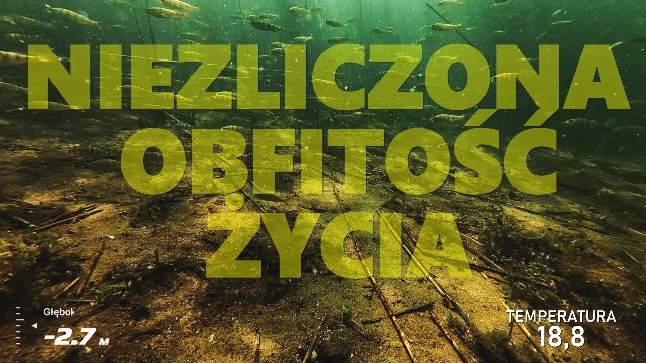 CZYSTOŚĆ WODY ZASKAKUJE  NURKOWANIE JEZIORO IŃSKO 21.06.2025