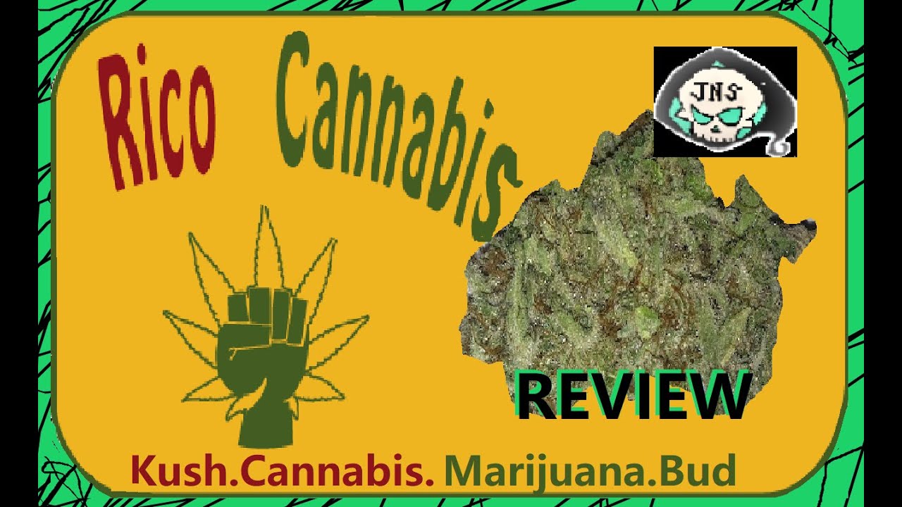 Rico Kush Strain Review Rico Cannabis Strain
