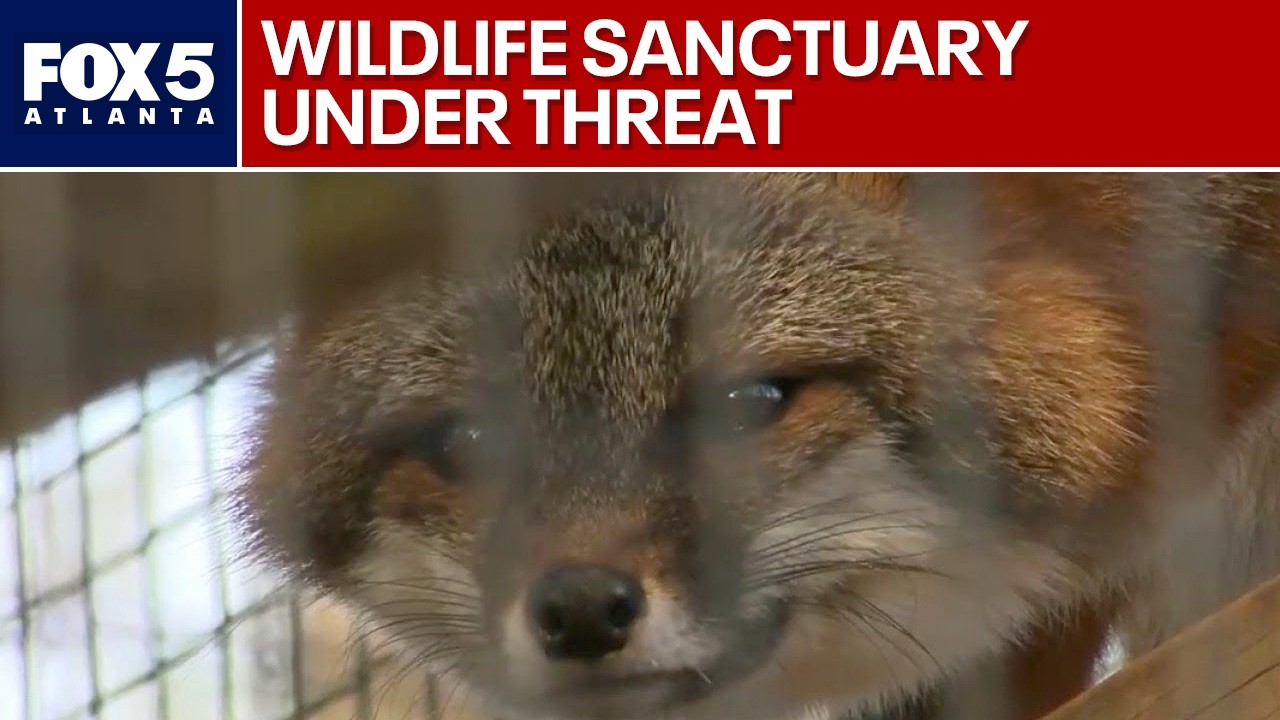 Will a new development kill a wildlife sanctuary? | FOX 5 News