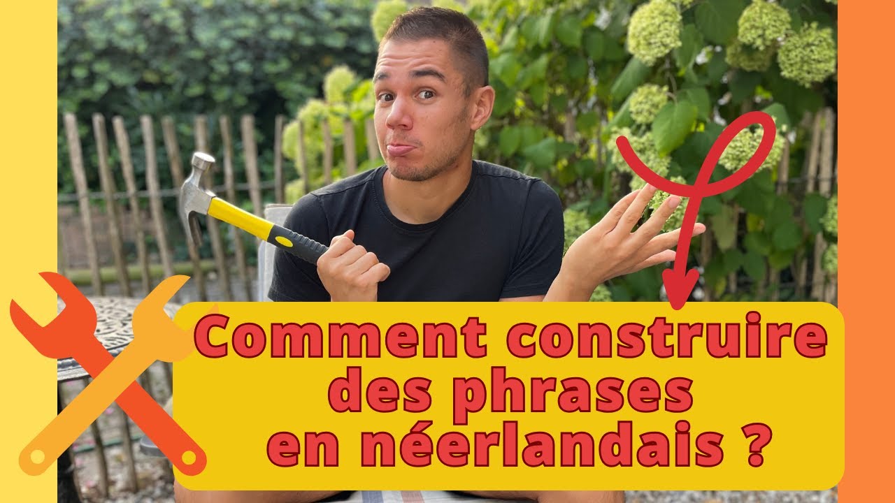 La structure de phrase en néerlandais 🧩 : Comprendre et maîtriser l'ordre de mots comme un PRO !🇧🇪🇳🇱