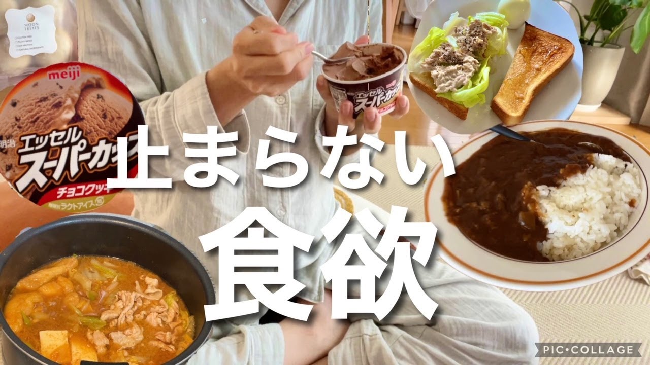 【爆食】産休中妊婦のリアルな一日/食事【妊娠】～ 妊婦の一日編 ～ ２人暮らしのごはん事情（M023）