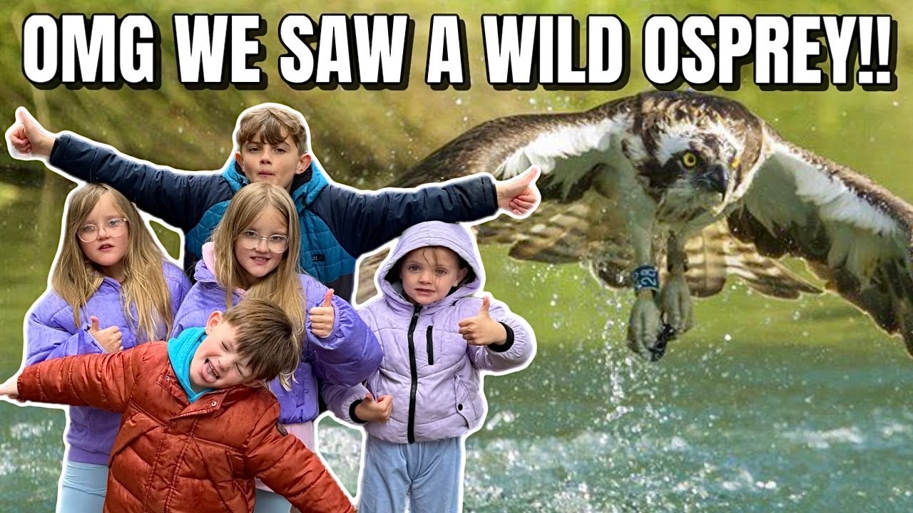 OMG WE SAW WILD OSPREY LIVE!! | DAY TRIP REVIEW | RSPB LOCH GARTEN NATURE RESERVE