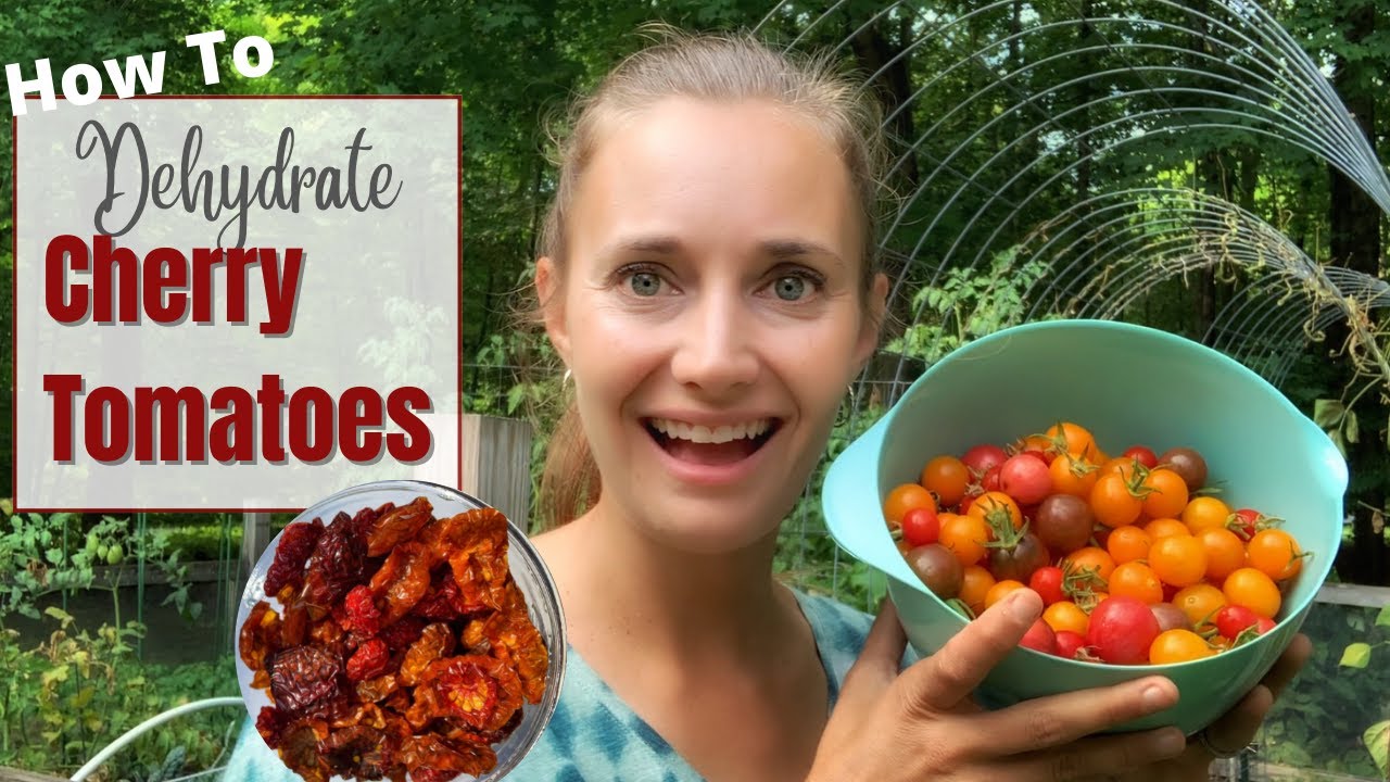 Dehydrating Cherry Tomatoes | Let's Preserve Our Cherry Tomatoes!