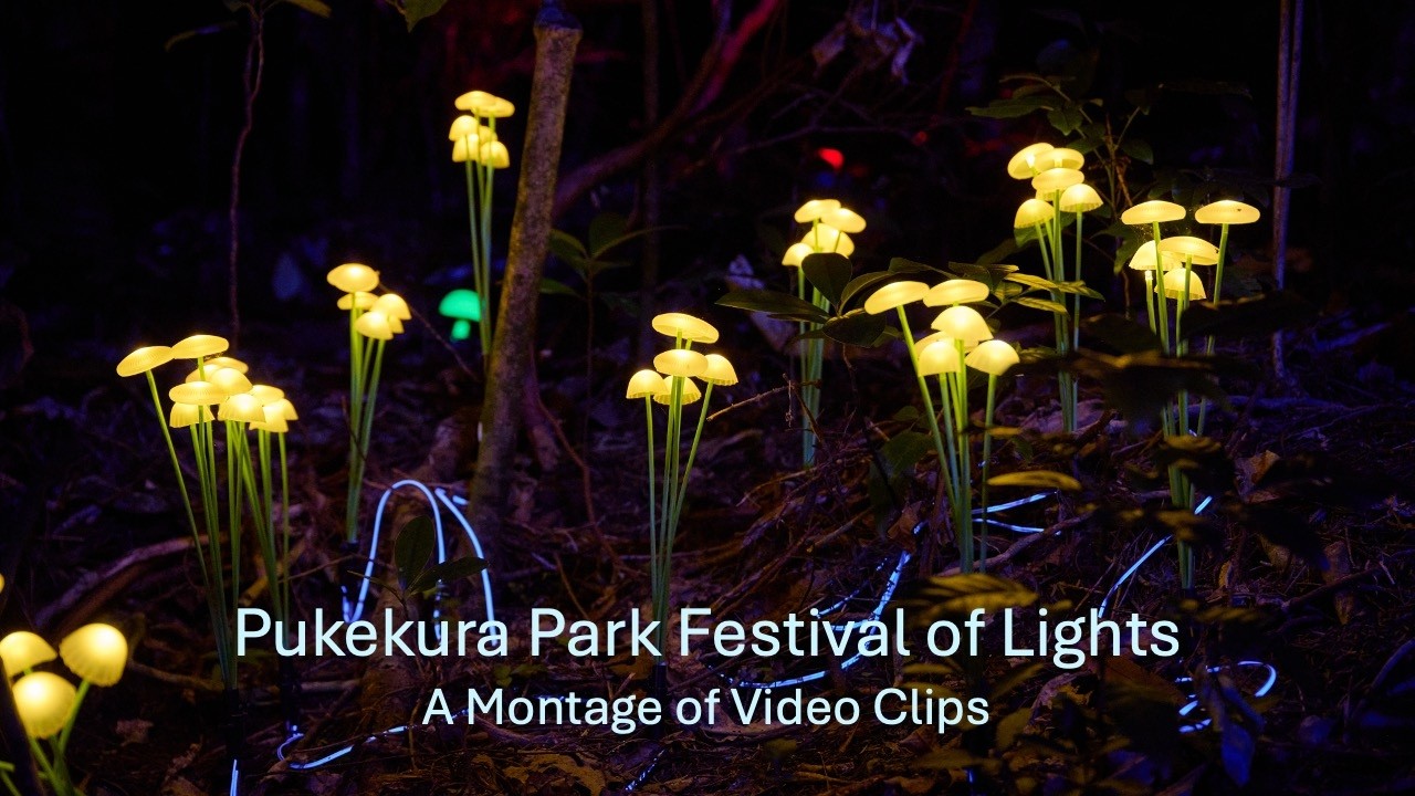 Pukekura Park | Festival of Lights 2026 - A Walk Around