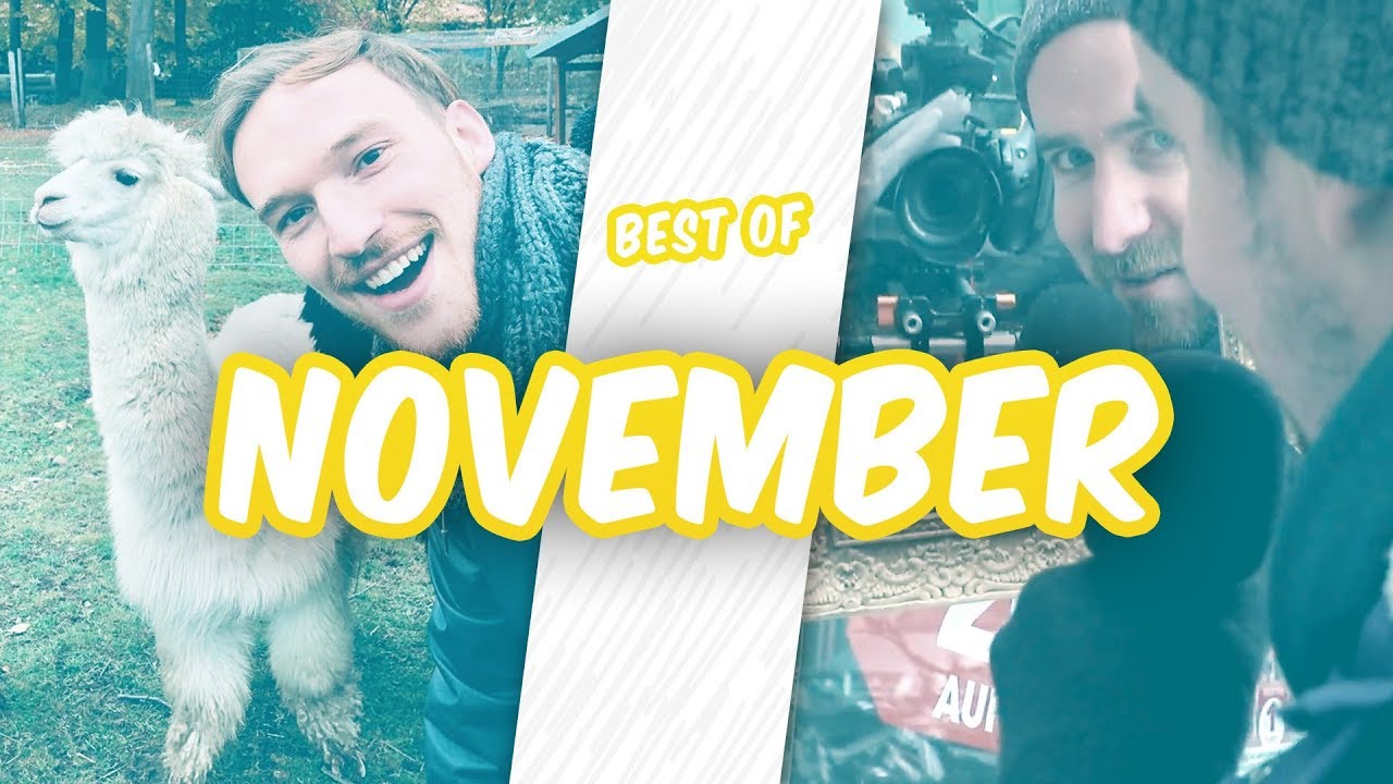 BEST OF NOVEMBER 2018 - Best of Beans