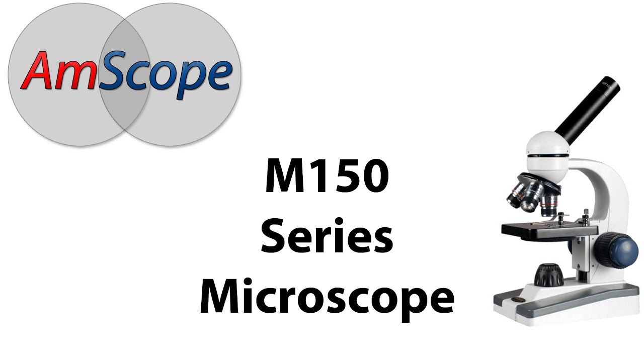 Microscope Expert - Compound Microscope (AmScope M150) Unboxing, Setup, and Tutorial