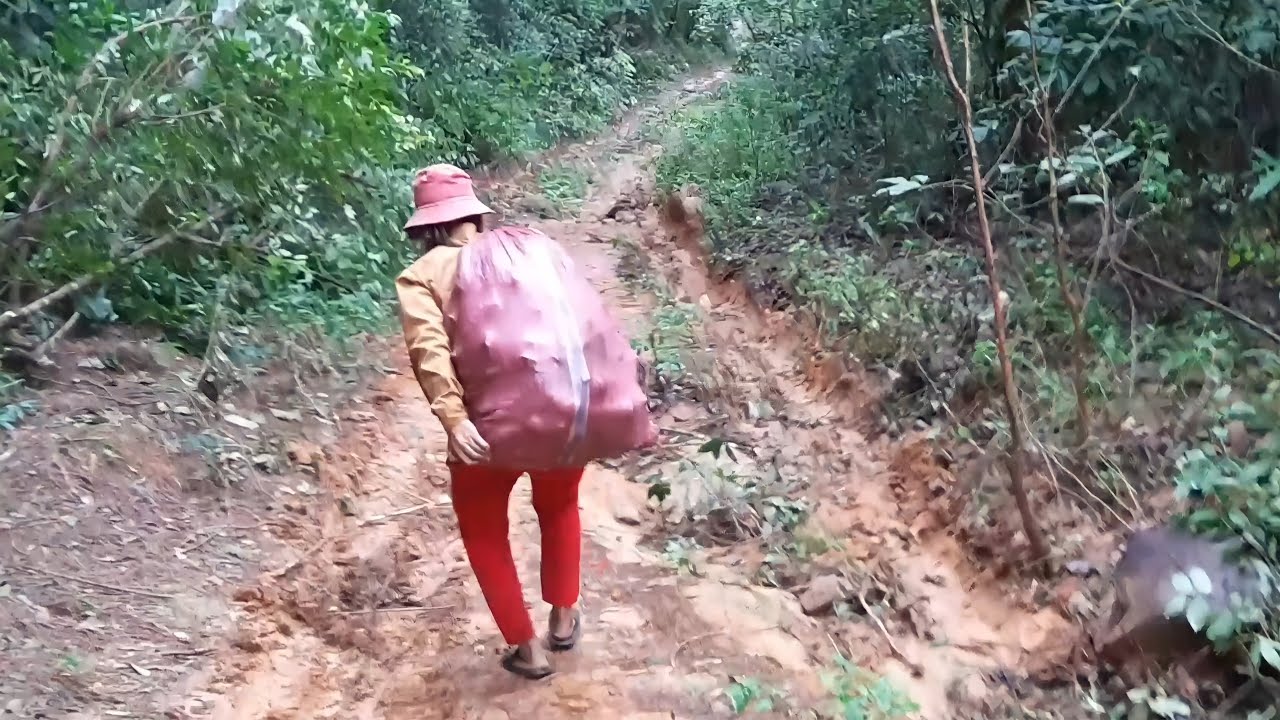 Yal che jrai hơri pơ ƀlih 8 / 2021 | su rang ƀĭ băng ha su gra ƀĭ băng mŏ | tìm quả  rừng lạ