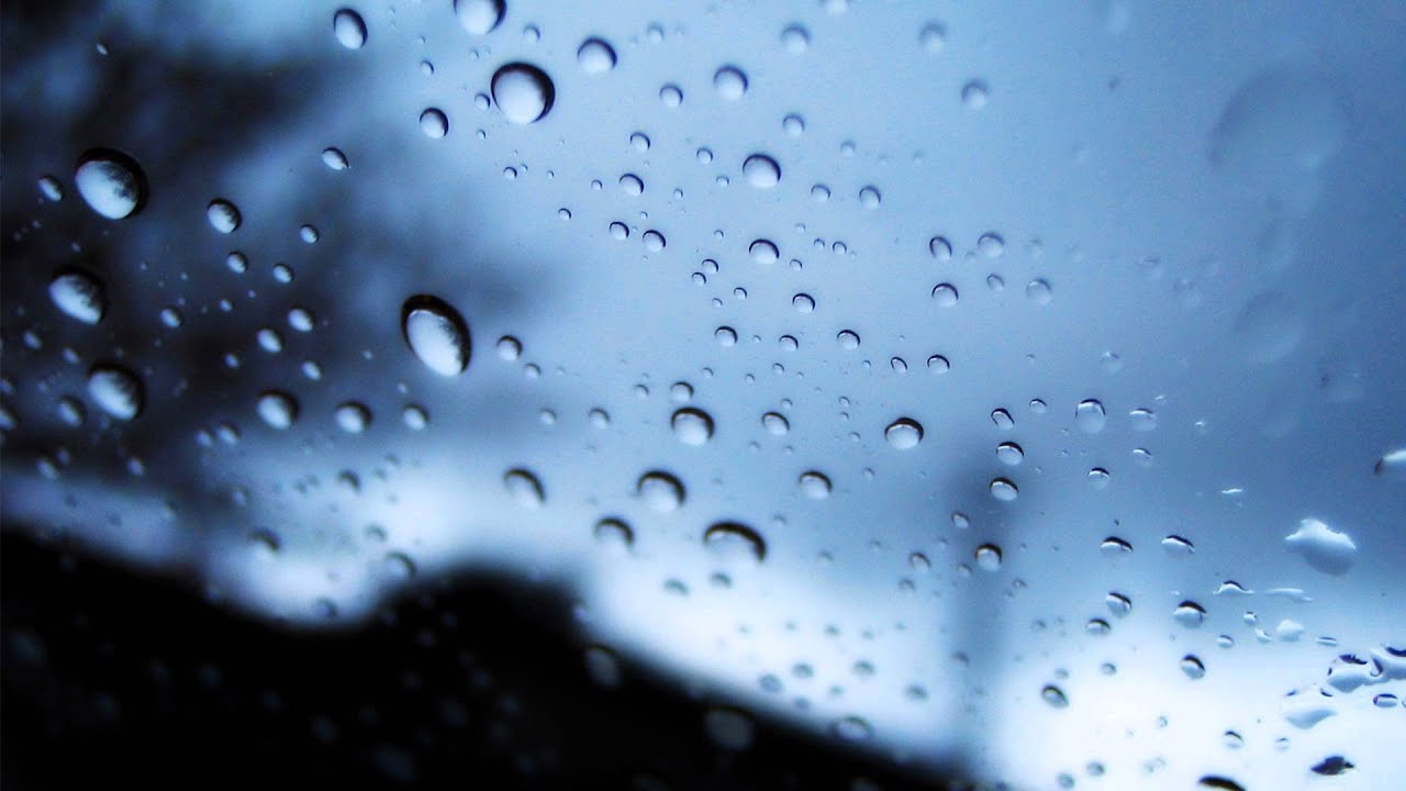 Field Rotation - Regenzeit