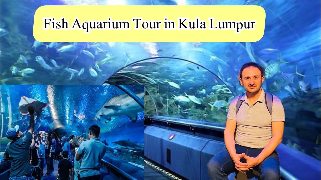 Underwater Fish world In Kula Lumpur | Kula Lumpur Aquarium |