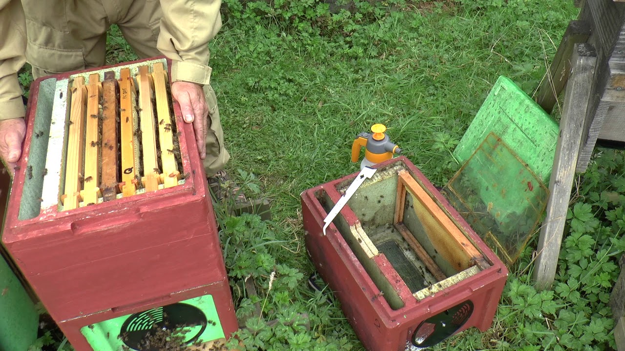 How to Make a Queen Cell Finisher Using an Extended Polynuc