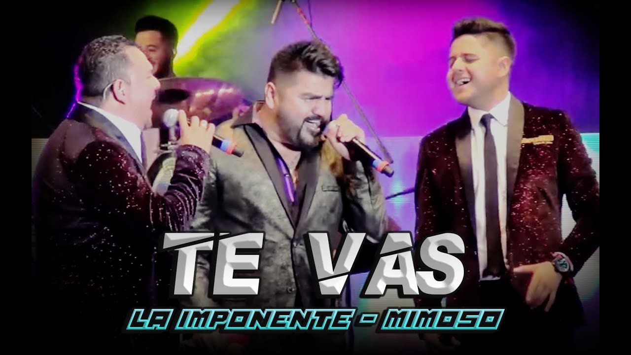 TE VAS - MIMOSO