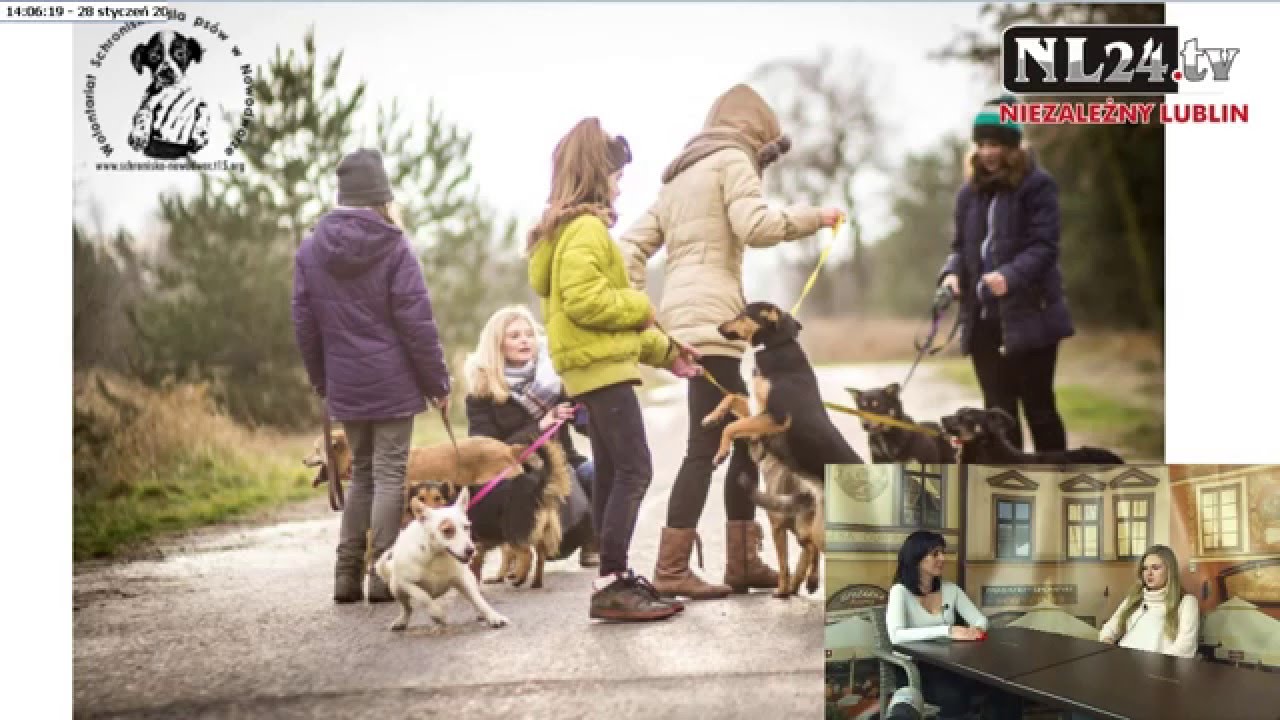 Problemy behawioralne ps&oacute;w - Pod Psem odc. 3