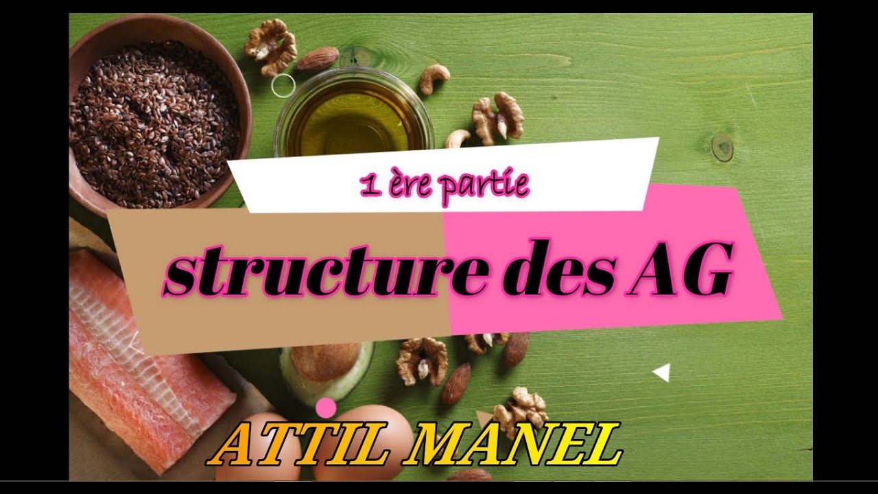 1 ère partie des lipides : structure des acides gras