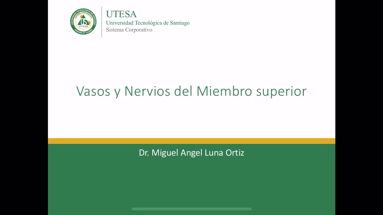 Vasos y nervios del miembro superior