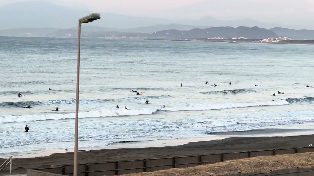【鵠沼海岸】2026.1.20(火)AMモモコシ