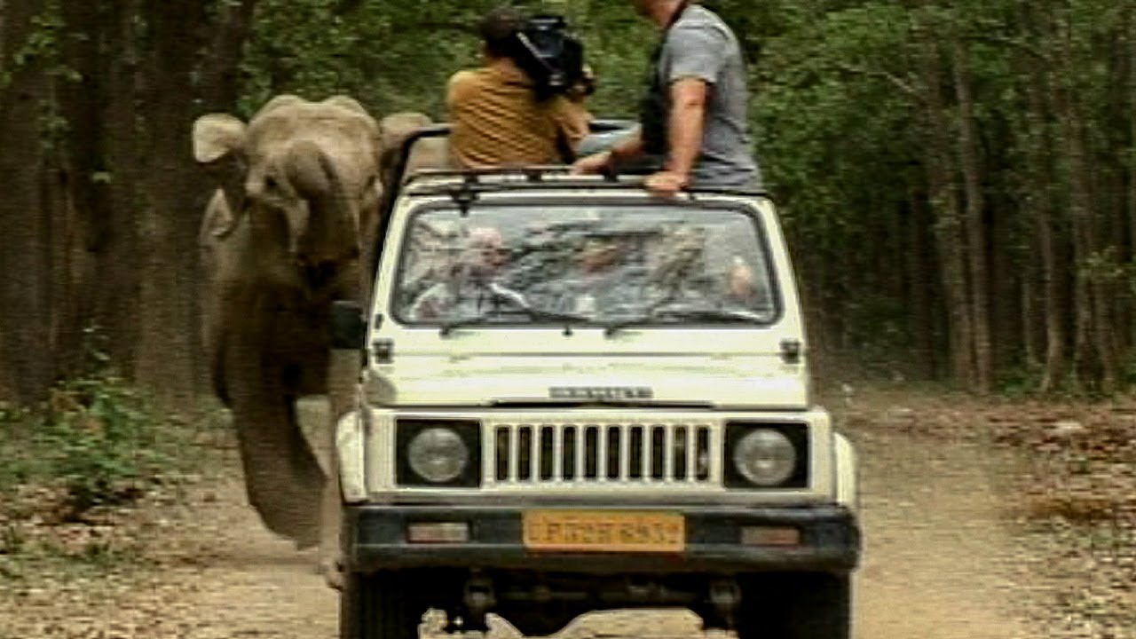 Wild Elephants Charge after Camera Crew | Deadly 60 | The Travel Edit