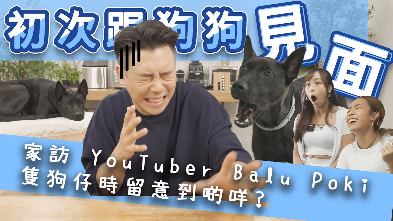 【 教學 】初次探訪 - 狗狗亂咁吠同埋驚陌生人應該點樣處理？