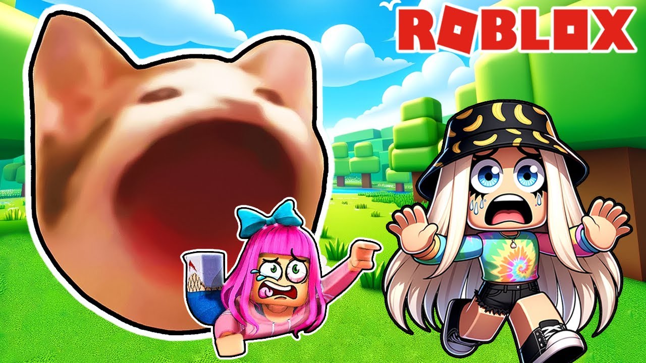 NAJGŁUPSZA GRA W ROBLOX 🤪 EVADE