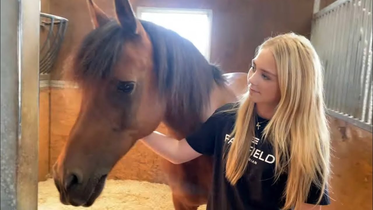 🐴 VÅR NYA HÄST ÄR HÄR!! 🥹✨ | Första dagen i stallet 💖