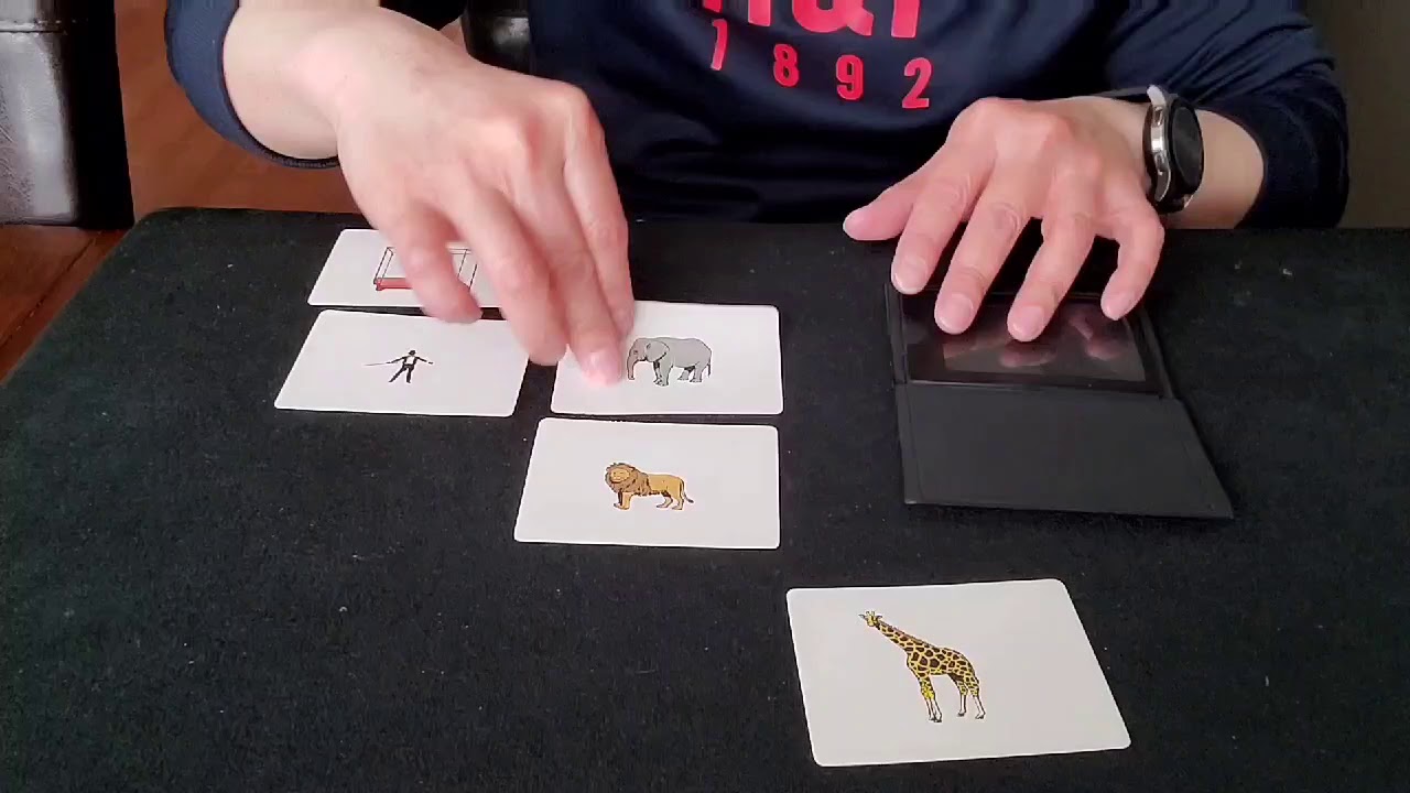 Wild Wallet Tenyo Perform by Ben Yu