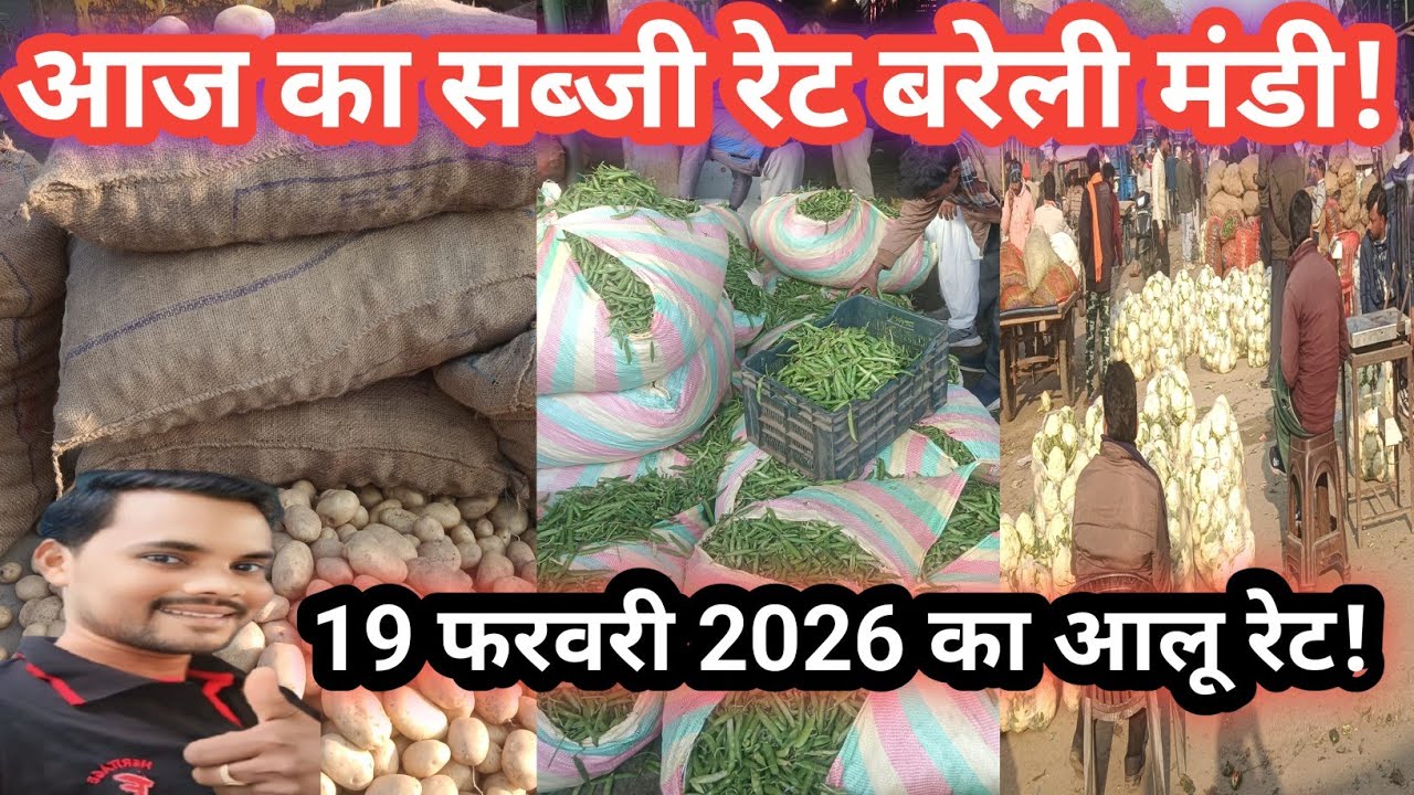 आज का सब्जी रेट बरेली मंडी!! Today vegetable price!!