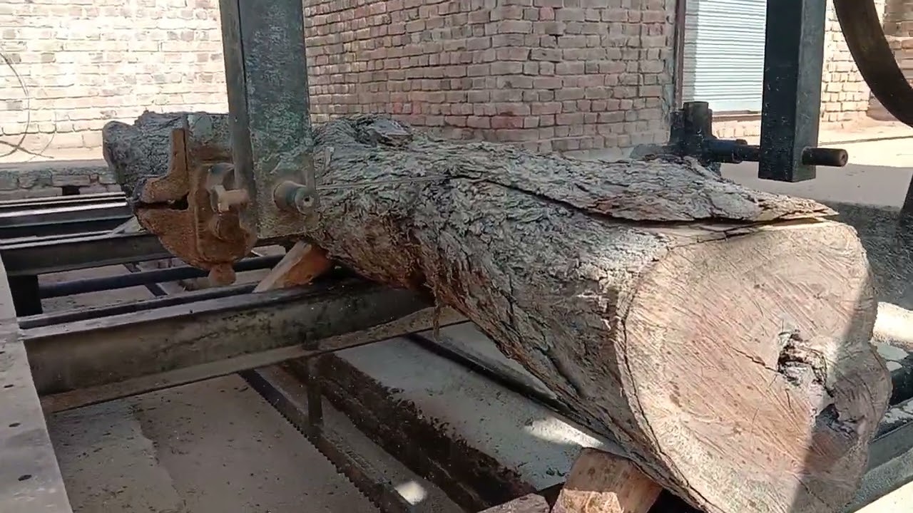 IRFAN ALI MOMENT | World's Most Infamous Retirement Community (The Villages, Florida ) big blogs