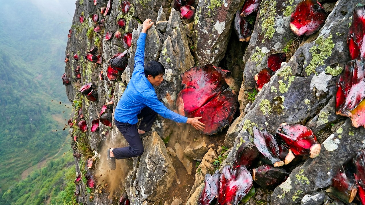 Harvesting 999+KG of Horseshoe Tubes on the Cliffside - Transporting them to the Market for Sale