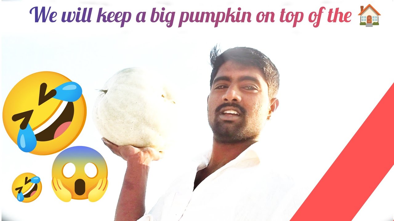 We will keep a big pumpkin on top of the house.🏯😱