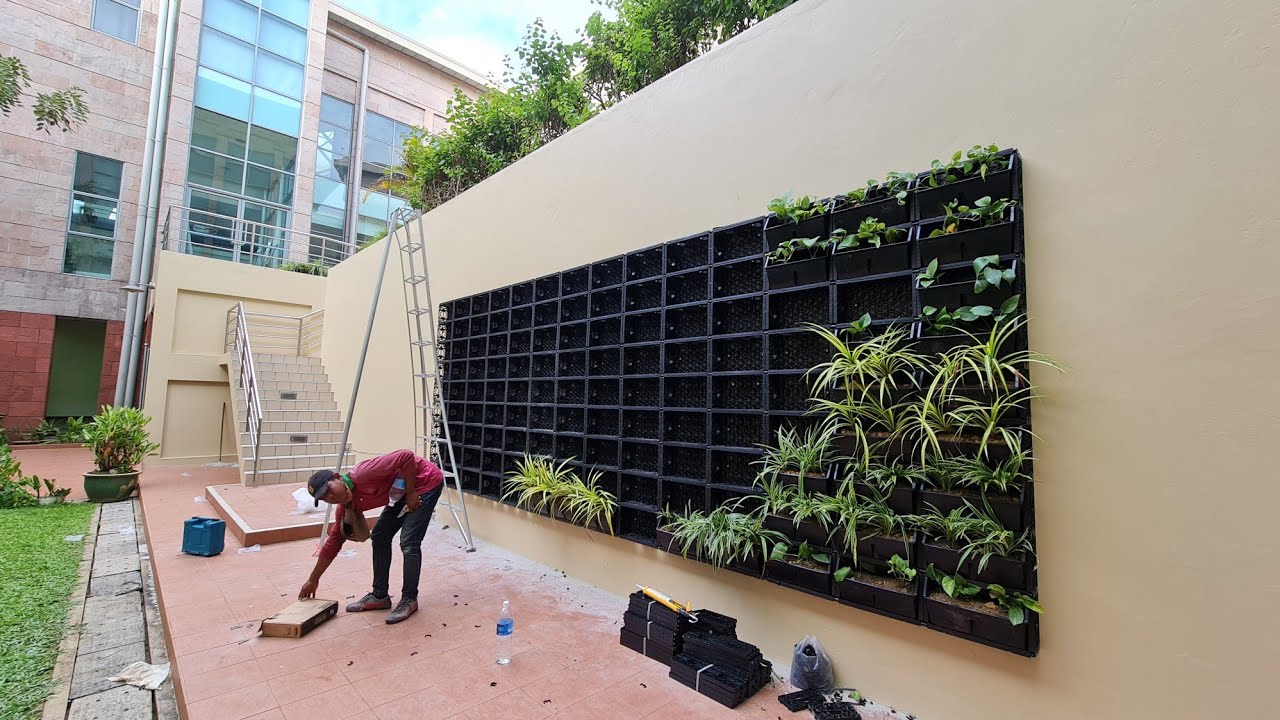 Rahasia Memasang Vertical Garden Kayak rumahnya Raffi Admad