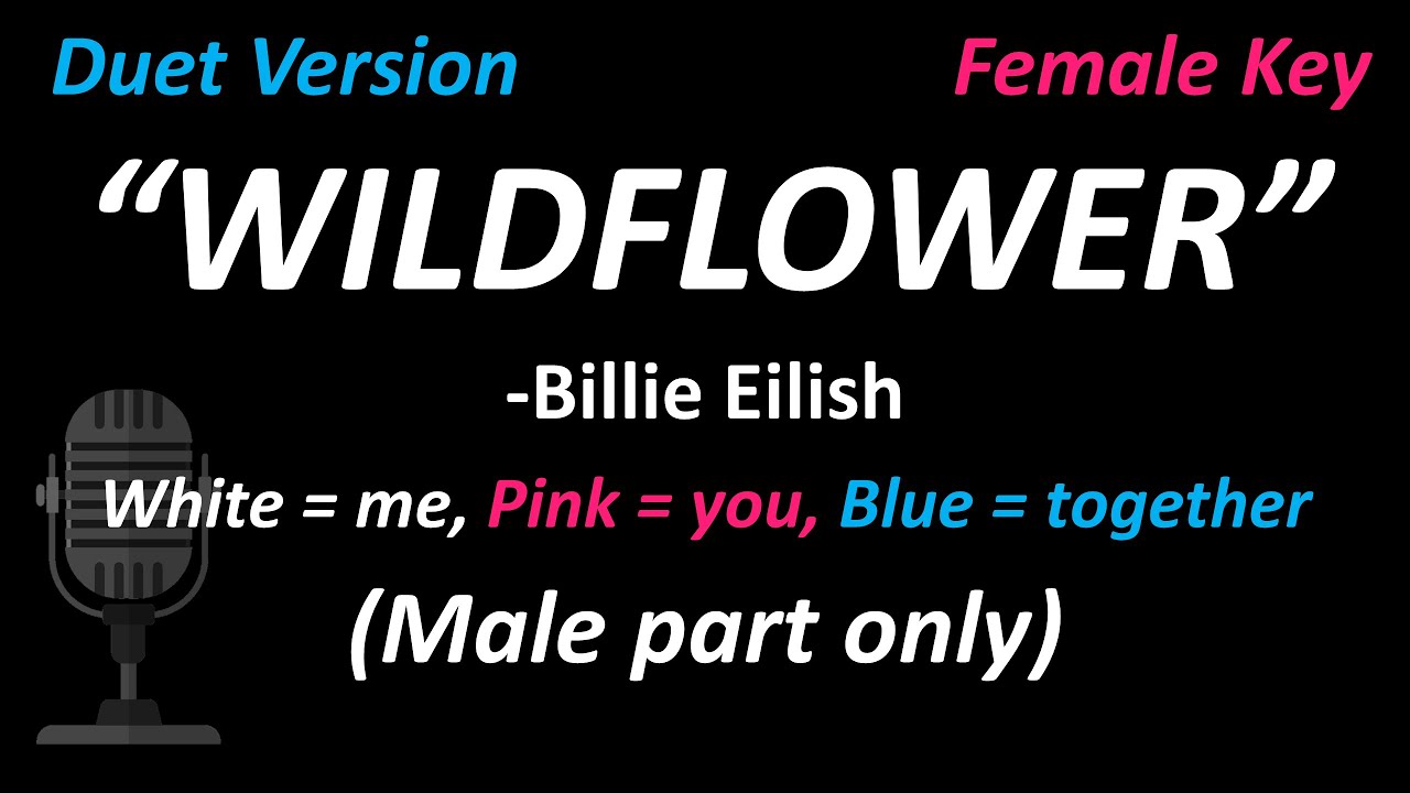 Billie Eilish - WILDFLOWER (Duet Version | Male Part Only) | Cover | Female Key | #SingWithMe 💖