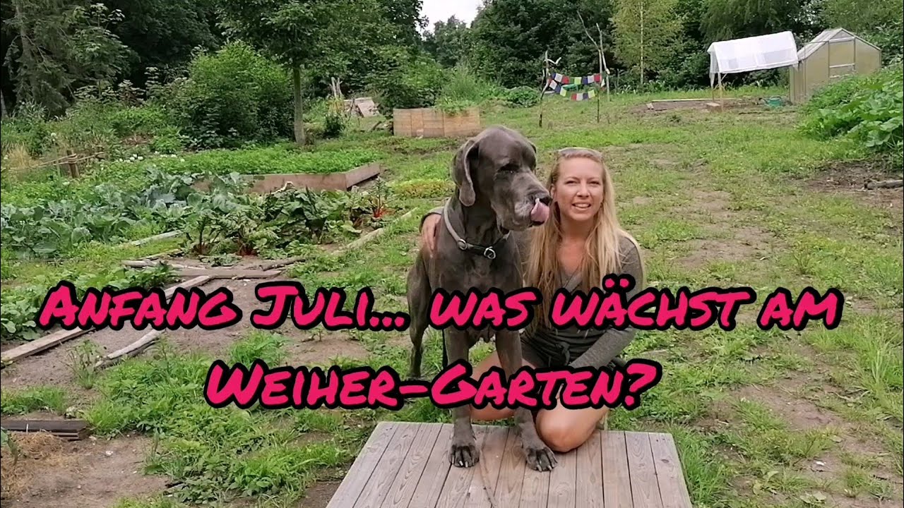 Gartenrundgang Juli bis zum Ende schauen!!! Outtakes nicht verpassen :-)