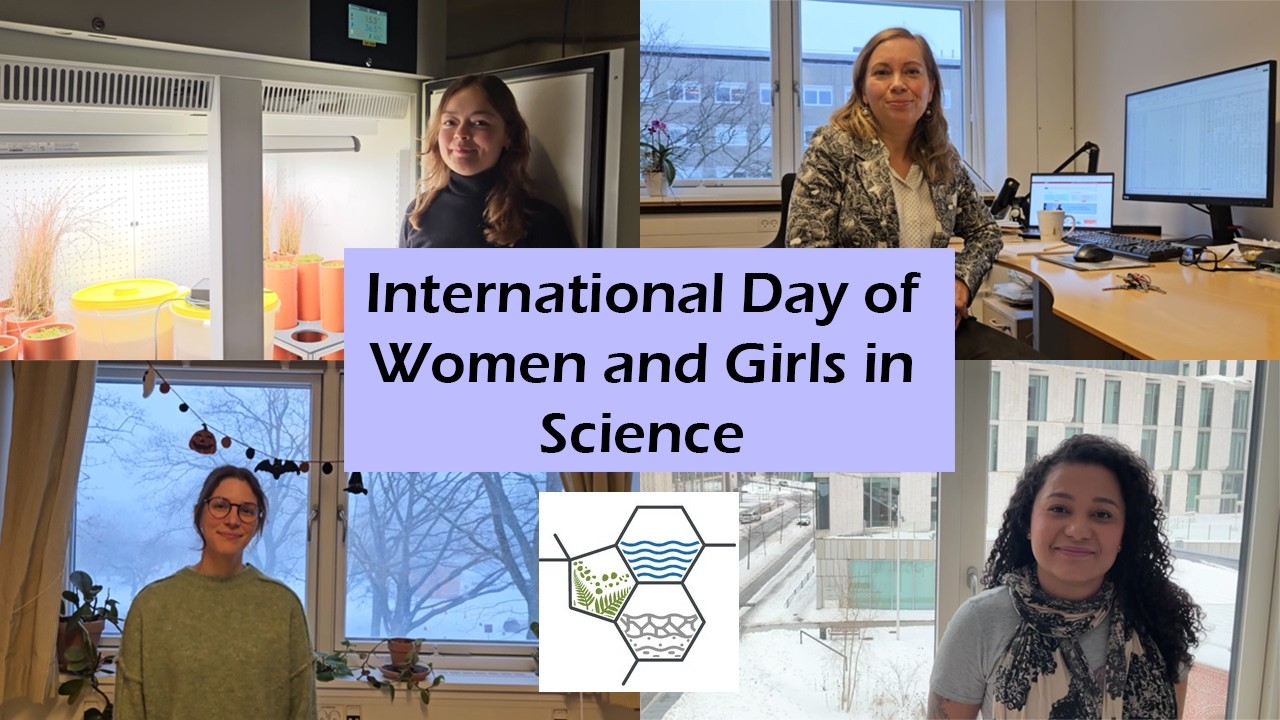 International Day of Women and Girls in Science at VOLT