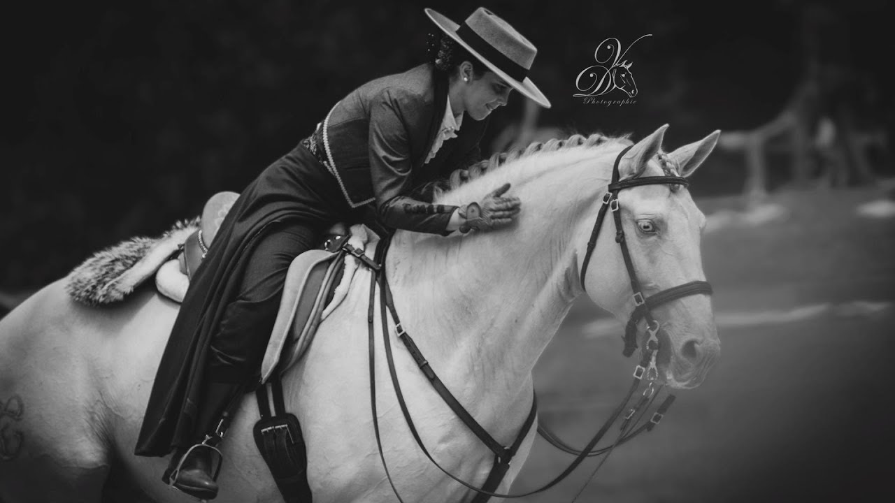 Lusitanos Academy - Quinta do Poejo